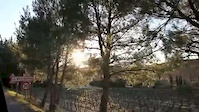 Must Watch Video