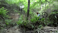Must Watch Video