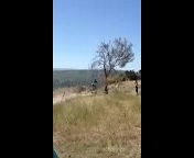 Must Watch Video