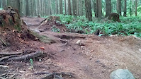Tyler gorz trail sender