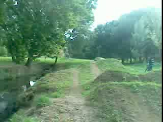 Must Watch Video