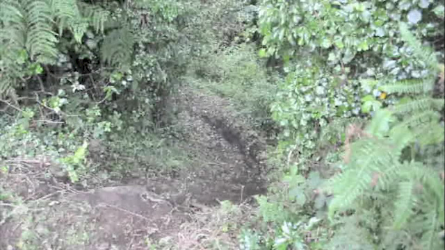 Must Watch Video