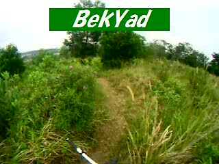 Must Watch Video