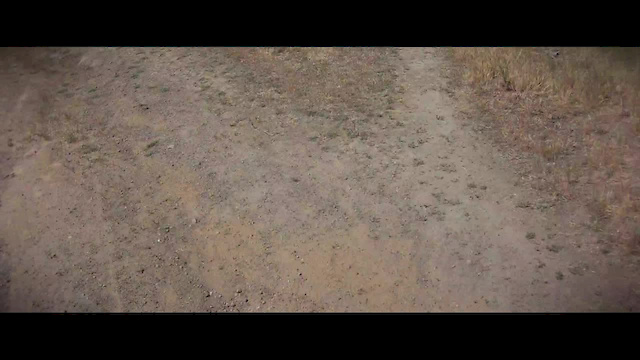 Must Watch Video