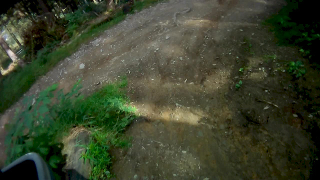 Single tracks winterberg
