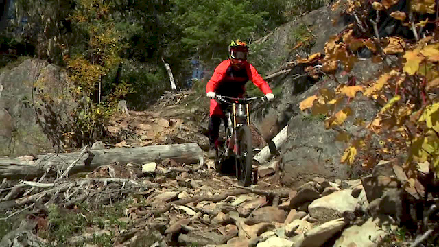 mattbeer on Pinkbike