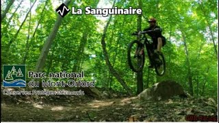 La Sanguinaire - Orford - 2021