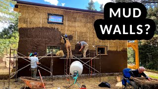 THEY'RE BUILDING A HOUSE OUT OF STRAW AND MUD!...
