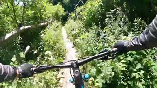 Javorov Do trail -MTB Evolution