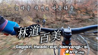 아름다움에 빠져들다  /  MTB 라이딩...