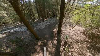 Lockdown - Bardellone | Pontassieve