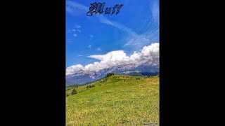 Bucşa