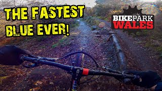 Willy Waver - The Fastest Blue @BikePark Wales