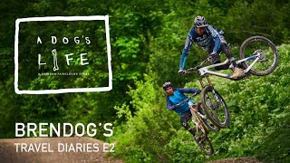 A DOGS LIFE - S2 Ep2 CHATEL AND THE PORTES DU...