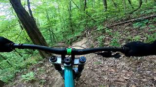 Windrock Bike Park: Horesface blind