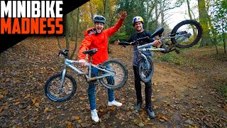 MINIBIKE MADNESS ON THE DOWNHILL JUMPS WITH MY...