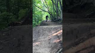 Party Train - Horseshoe Valley Bike Park