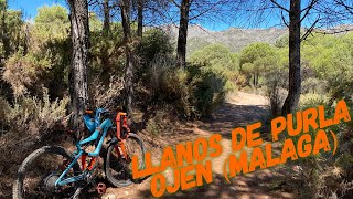 ♂️ ⛰ Llanos de Purla | Ojén...