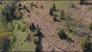 High Traverse & IHop Trail near Frick Park
