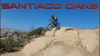 Santiago Oaks Pedal Day (Todd Father, Sketch...