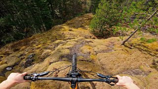 My Favorite Trail on Quadra Island