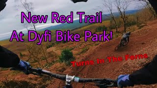 NEW DYFI BIKE PARK RED TRAIL *TERNS IN THE FERNS*