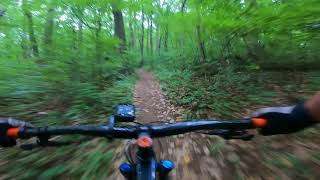Mountain Biking - Brandywine Creek State park...