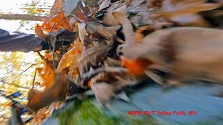 Mountain Bike Wreck - Valley Falls State Park,...
