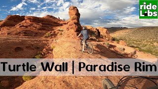 Snow Canyon State Park | Turtle Wall, Beck...