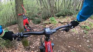 Alla scoperta del secret trail: Il Pungitopo