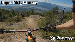 Upper Dirty Monkey - Mt  Swansea