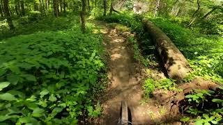 Roughshod | Turkey Point | MTB