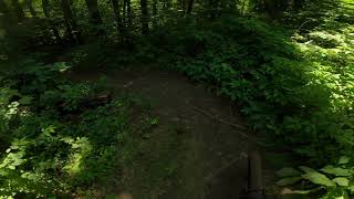 Roundabout | Turkey Point | MTB