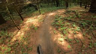 B-Itchy (In Reverse) | Turkey Point | MTB