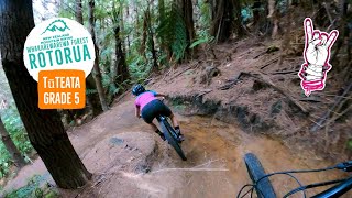 Tūteata, Rotorua - In it's prime after a...