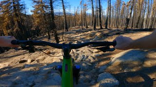 Corral (post-Caldor Fire) / South Lake Tahoe /...