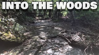 The Great Nature Reset - Escaping into the Woods