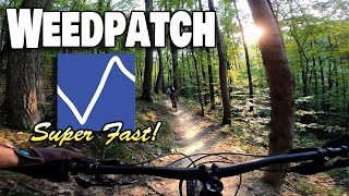 Weedpatch - Brown County Mountain Biking in...
