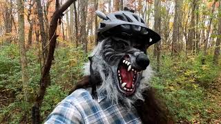 Blue Moon on Halloween(2020) - Find out what...