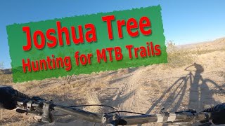 Joshua Tree MTB | Hunting the Luge Trail 2021