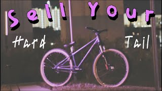 Dirt Jumper For Mountain Biking?