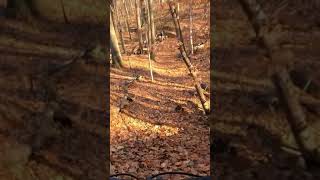How NOT to “Just Send It” - MTB crash on...