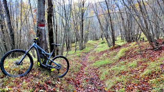 Cerreto trail - Corniolo