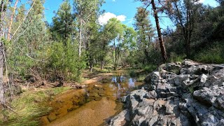 Prescott's Spence Basin Trails in the Monsoon...