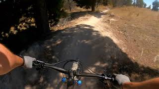 Stromlo Forest - Double Dissolution (Blue)