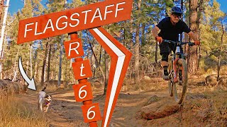 9k Feet & 7 Miles of DH: This Is Flagstaff, AZ