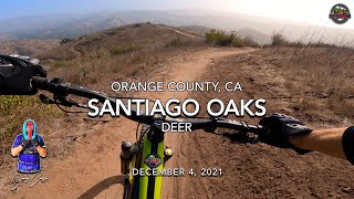 MTB Riding Deer at Santiago Oaks, December 4, 2021