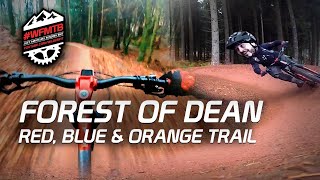 Forest of Dean Mountain Bike Trail - Hitting...