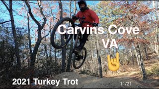 Carvins Cove   VA