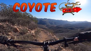 Coyote Trail - Mountain Biking - Sycamore...